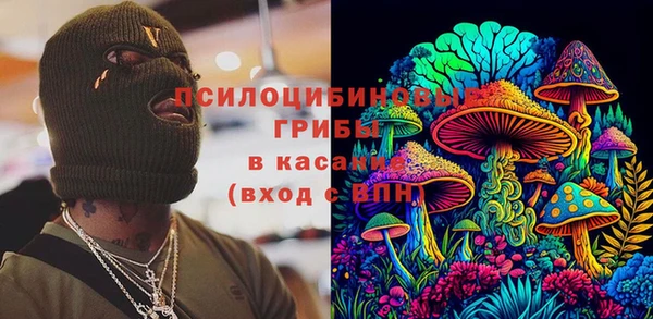 СК Алексин