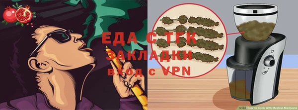 СК Алексин