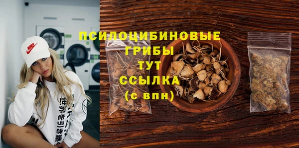 скорость Алзамай