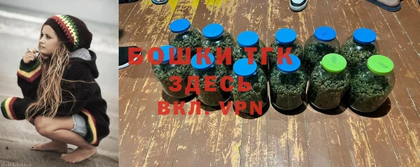 СК Алексин