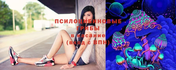 скорость Алзамай