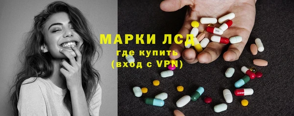 гашик Алексеевка