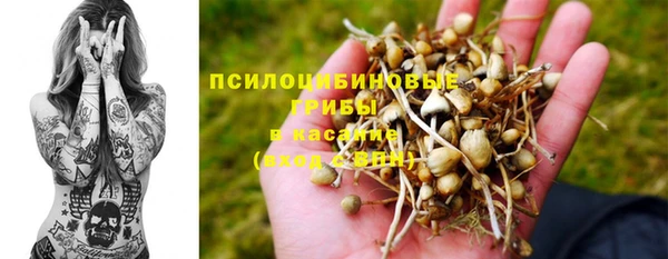 гашик Алексеевка