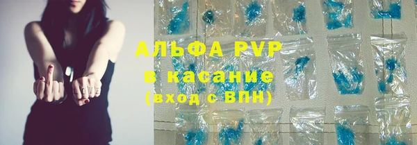 СК Алексин