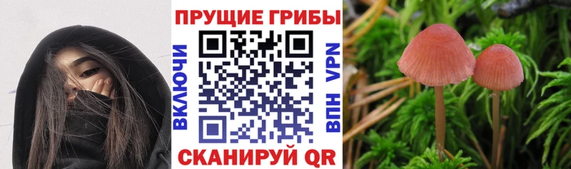 Галлюциногенные грибы мухоморы  наркота  МЕГА зеркало  Когалым 